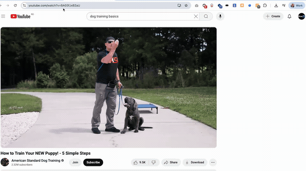 Content Multiplier Demo